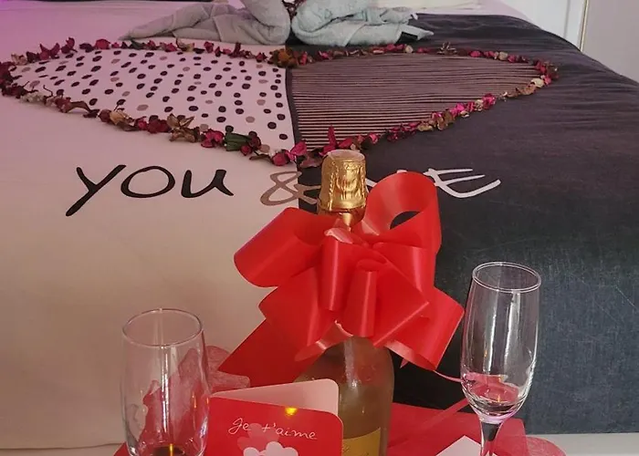 Апартаменты Au Fil De L' Eau 21 Rue Des Minotiers 43110