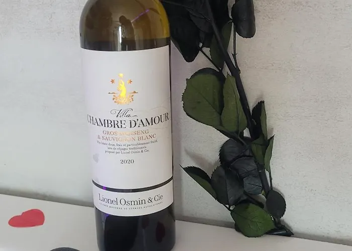 Au Fil De L' Eau 21 Rue Des Minotiers 43110 * Aurec-Sur-Loire